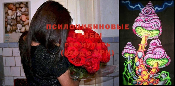 прущий лед Алексин