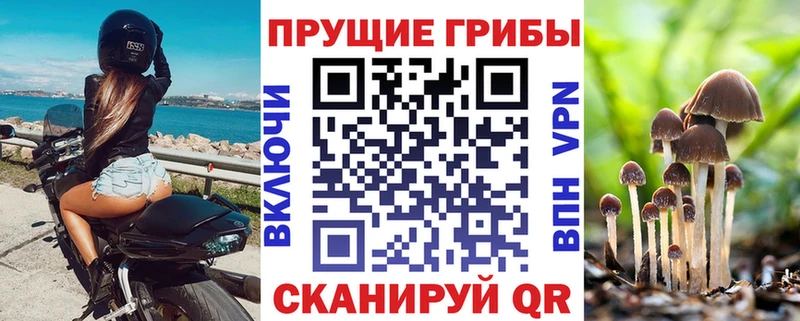 Галлюциногенные грибы мухоморы  цены   mega зеркало  Лаишево 
